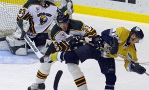  Quad City Mallards 